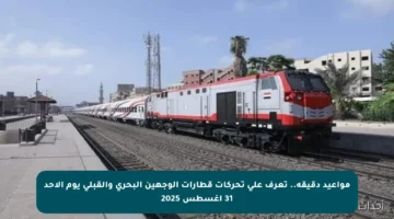 مواعيد دقيقة.. تعرف على تحركات قطارات الوجهين البحري والقبلي يوم الأحد 31 أغسطس 2025